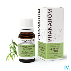 Eucalyptus Radiata Ess Olie 10ml Pranarom