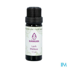 Load image into Gallery viewer, Sjankara Lork Ess. Olie 11ml
