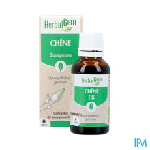 Afbeelding in Gallery-weergave laden, Herbalgem Eik Bio 30ml
