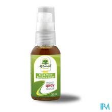 Afbeelding in Gallery-weergave laden, Fytobell Keel & Mondspray 30ml
