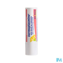 Load image into Gallery viewer, Dermoplasmine Calendula Lipstick 4g
