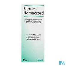 Afbeelding in Gallery-weergave laden, Ferrum-homaccord Gutt 30ml Heel
