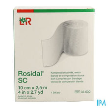 Afbeelding in Gallery-weergave laden, Rosidal Sc 10cmx2,0m 10 33500
