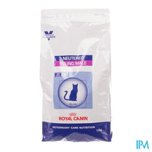 Afbeelding in Gallery-weergave laden, Vcn Young Male Feline So 1,5kg
