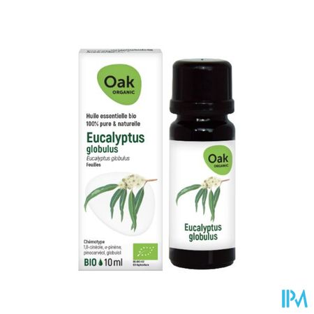 Oak Ess Olie Eucalyptus Globulus 10ml Bio