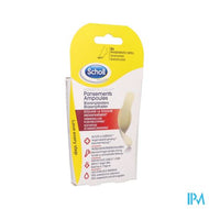 Scholl Blarenpleister Teenpleister Z/latex 6