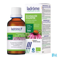 Afbeelding in Gallery-weergave laden, Ladrome Echinacea Purpurea/rode Zonnehoed 50ml
