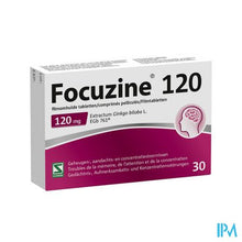 Charger l'image dans la galerie, Focuzine 120 MG 30 TABLETTEN

