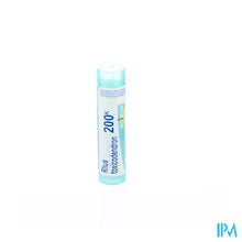 Afbeelding in Gallery-weergave laden, Rhus Toxicodendron 200k Gr 4g Boiron
