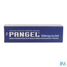 Afbeelding in Gallery-weergave laden, Pangel 10% Gel Tube 60g Nf
