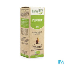 Charger l'image dans la galerie, Herbalgem Populier Maceraat 50ml
