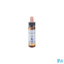 Afbeelding in Gallery-weergave laden, Healing Herbs Cerato 10ml
