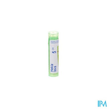 Afbeelding in Gallery-weergave laden, Hekla Lava 5ch Gr 4g Boiron
