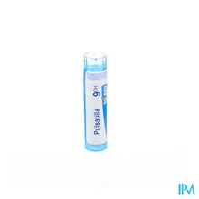 Charger l'image dans la galerie, Pulsatilla 9ch Gr 4g Boiron
