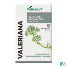 Load image into Gallery viewer, Soria 34-s Valeriana Xxi Caps 30
