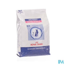 Charger l'image dans la galerie, Vcn Young Female Feline So 3,5kg
