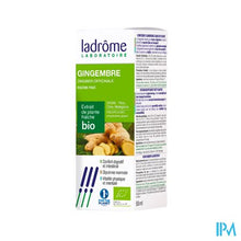 Afbeelding in Gallery-weergave laden, Ladrome Zingiber Officinalis/gember 50ml
