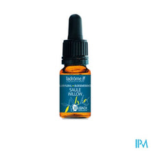 Afbeelding in Gallery-weergave laden, Ladrome Wilg/willow 10ml

