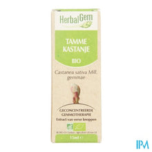 Charger l'image dans la galerie, Herbalgem Kastanje Maceraat 15ml
