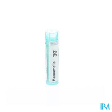 Charger l'image dans la galerie, Hamamelis Virginiana 30k Gr 4g Boiron

