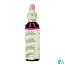 Charger l'image dans la galerie, Bach Flower Remedie 38 Willow 20ml
