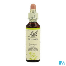 Charger l'image dans la galerie, Bach Flower Remedie 21 Mustard 20ml
