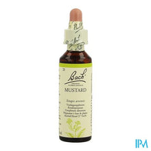 Afbeelding in Gallery-weergave laden, Bach Flower Remedie 21 Mustard 20ml

