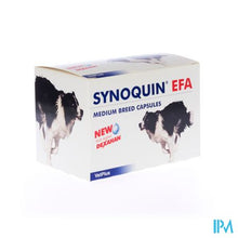 Afbeelding in Gallery-weergave laden, Synoquin Medium Breed 10-25kg Caps 120
