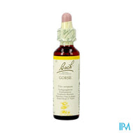Bach Flower Remedie 13 Gorse 20ml