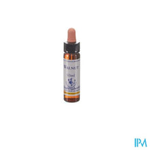 Afbeelding in Gallery-weergave laden, Healing Herbs Walnut 10ml
