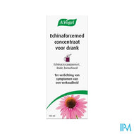 A.vogel Echinaforcemed Hot Drink Siroop 100ml