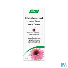 Afbeelding in Gallery-weergave laden, A.vogel Echinaforcemed Hot Drink Siroop 100ml
