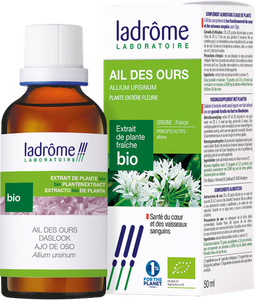 Ladrome Allium Ursinum/daslook 50ml