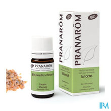 Charger l'image dans la galerie, Pranarom Eo Wierook Oliban Somalie Bio 5ml
