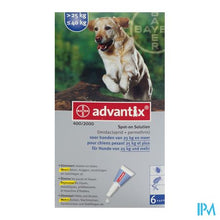 Load image into Gallery viewer, Advantix 400/2000 Honden 25<40kg Fl 6x4,0ml
