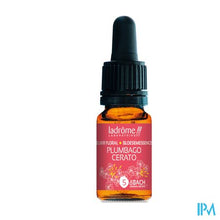 Afbeelding in Gallery-weergave laden, Ladrome Loodkruid/cerato 10ml
