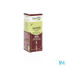 Afbeelding in Gallery-weergave laden, Herbalgem Amandel Maceraat 15ml
