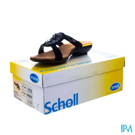 Scholl Nosybe Sue Black 40