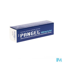 Charger l'image dans la galerie, Pangel 10 % Gel 60g
