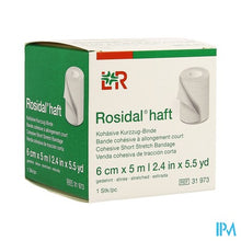Afbeelding in Gallery-weergave laden, Rosidal Haft Cohesieve Windel 6cmx5m 1 31973
