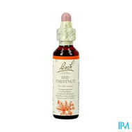 Bach Flower Remedie 25 Red Chestnut 20ml