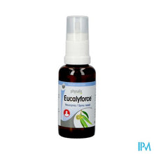 Afbeelding in Gallery-weergave laden, Physalis Eucalyforce Neusspray 30ml

