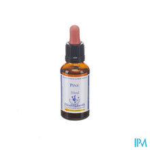 Afbeelding in Gallery-weergave laden, Healing Herbs Pine 30ml
