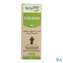 Charger l'image dans la galerie, Herbalgem Struikhei Unitair Moedermaceraat 50ml
