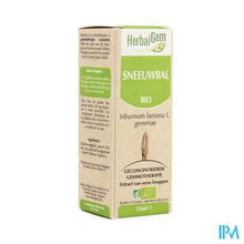 Afbeelding in Gallery-weergave laden, Herbalgem Wollige Sneeuwbal Maceraat 15ml
