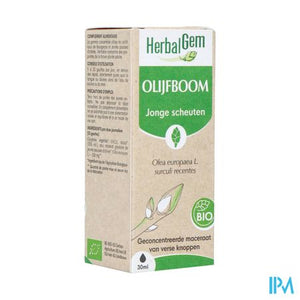 Herbalgem Olijfboom Bio 30ml