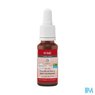 Bachbloesem Bio N46 Druppels Woede 20ml