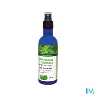 Altho Eau Florale Marjolaine Coquille Bio 200ml