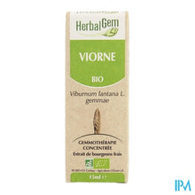 Charger l'image dans la galerie, Herbalgem Wollige Sneeuwbal Maceraat 15ml
