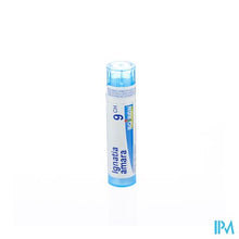 Load image into Gallery viewer, Ignatia Amara 9ch Gr 4g Boiron
